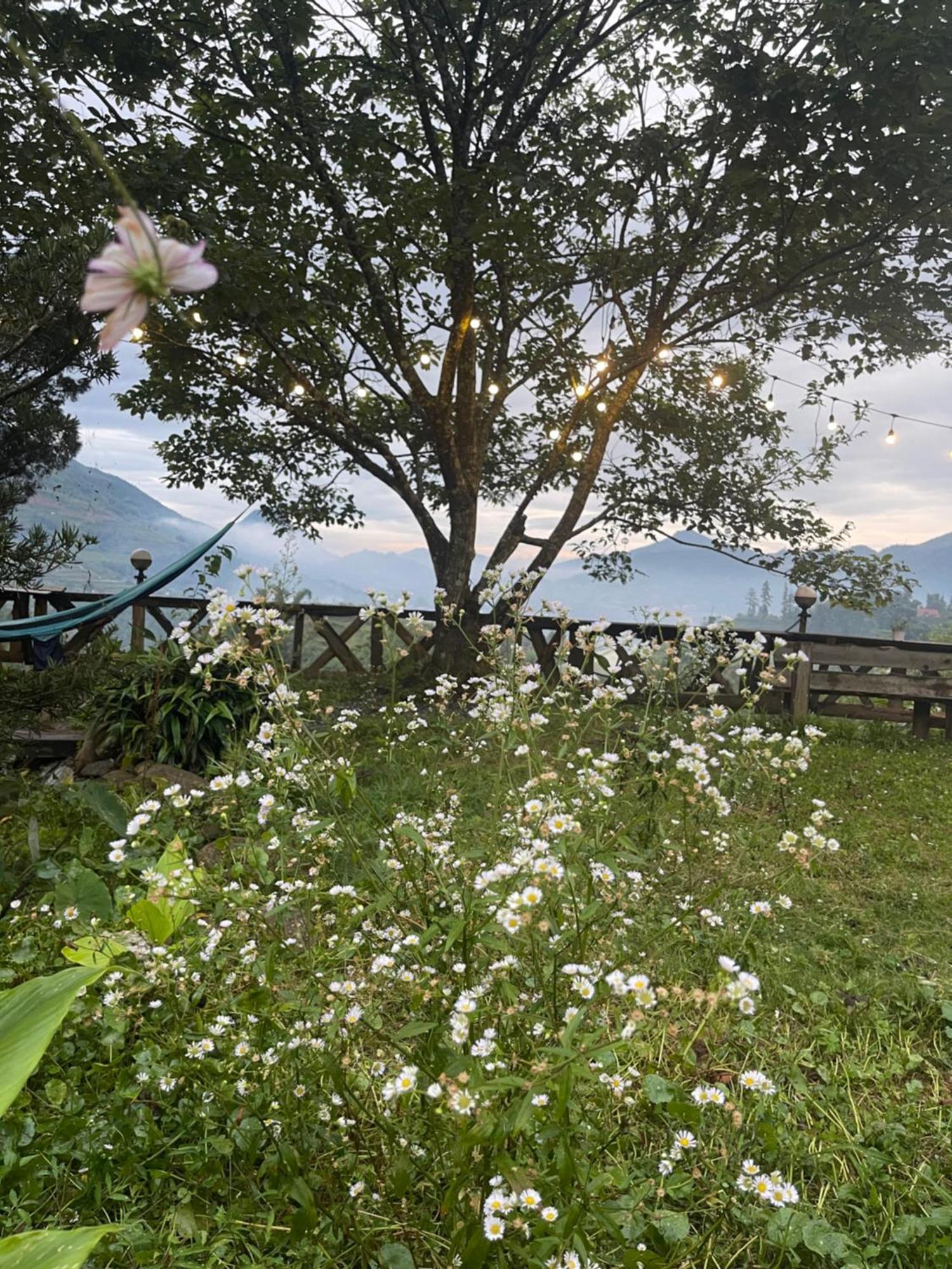 Pea Homestay Sa Pa Exterior foto